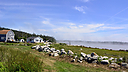 _DSC1954.jpg