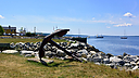 _DSC2072.jpg