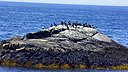 _DSC2116.jpg