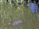 _DSC3201.jpg