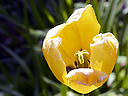 _DSC3621.jpg