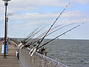 _DSC5662.jpg