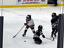 _DSC7356.jpg
