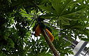 _DSC8304.jpg