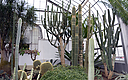 _DSC8341.jpg