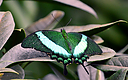 _DSC8349.jpg