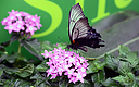 _DSC8354.jpg