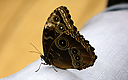 _DSC8550~0.jpg