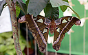 _DSC8562.jpg
