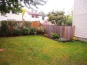 back_yard.jpg